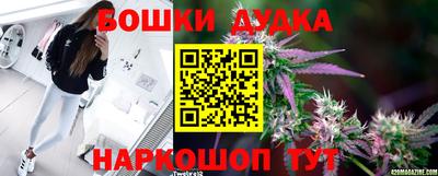 гидропоника Краснознаменск