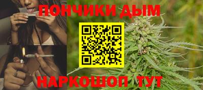 гидропоника Краснознаменск
